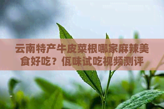 云南特产牛皮菜根哪家麻辣美食好吃？佤味试吃视频测评