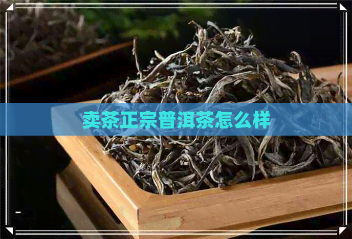 卖茶正宗普洱茶怎么样