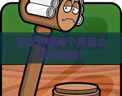 花呗逾期两个月怎么还清本金？