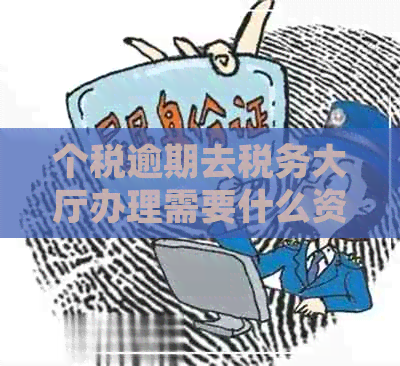 个税逾期去税务大厅办理需要什么资料