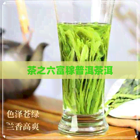 茶之六富稼普洱茶洱