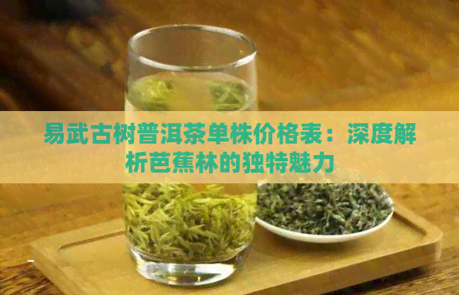 易武古树普洱茶单株价格表：深度解析芭蕉林的独特魅力