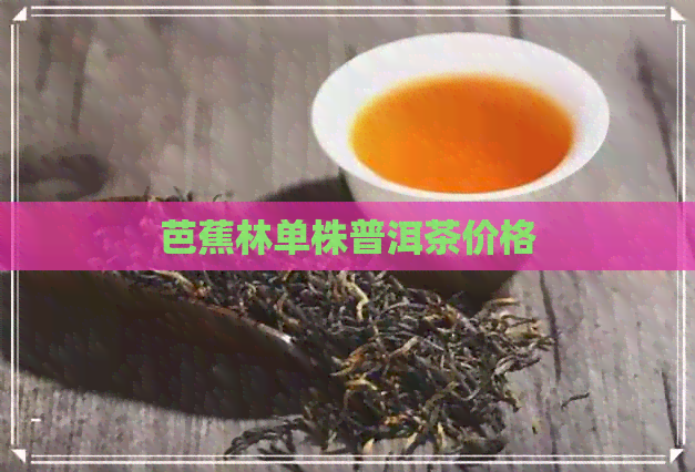 芭蕉林单株普洱茶价格