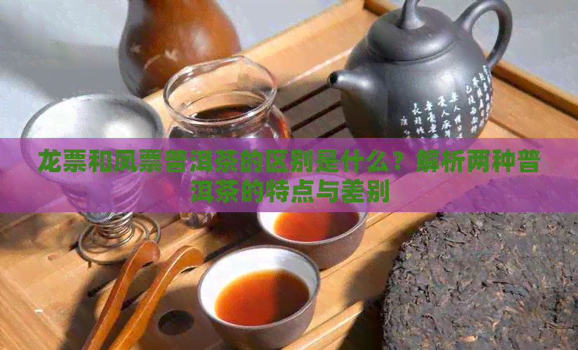 龙票和凤票普洱茶的区别是什么？解析两种普洱茶的特点与差别