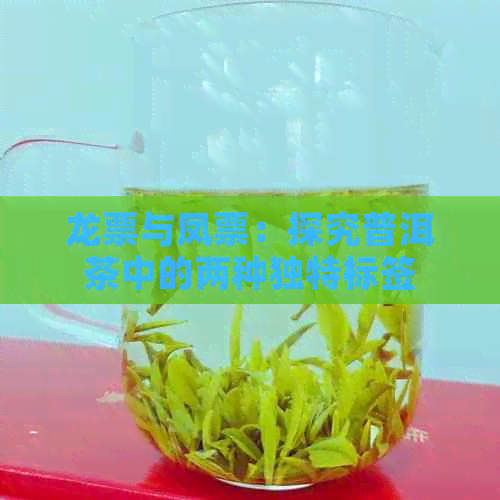 龙票与凤票：探究普洱茶中的两种独特标签