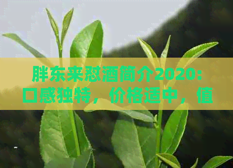 胖东来怼酒简介2020:口感独特，价格适中，值得一试！