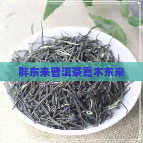 胖东来普洱茶嘉木东来