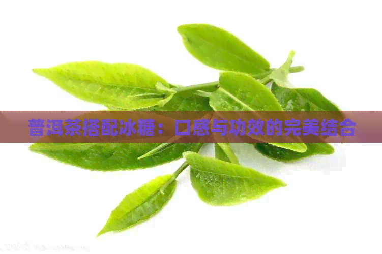 普洱茶搭配冰糖：口感与功效的完美结合