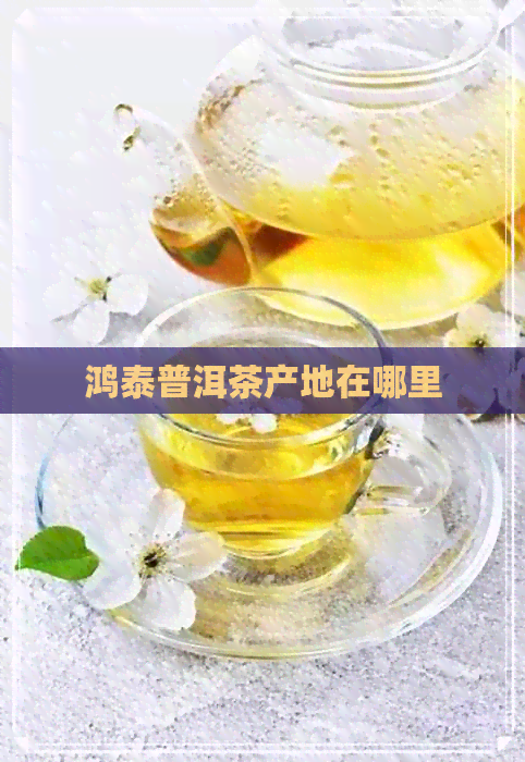 鸿泰普洱茶产地在哪里