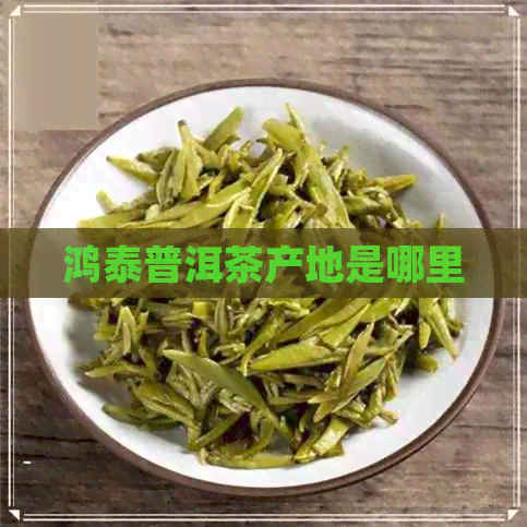 鸿泰普洱茶产地是哪里