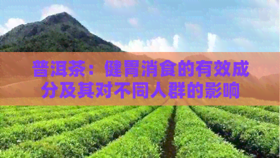 普洱茶：健胃消食的有效成分及其对不同人群的影响