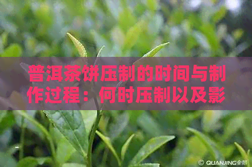 普洱茶饼压制的时间与制作过程：何时压制以及影响因素有哪些？