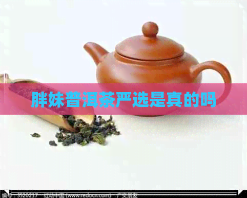 胖妹普洱茶严选是真的吗