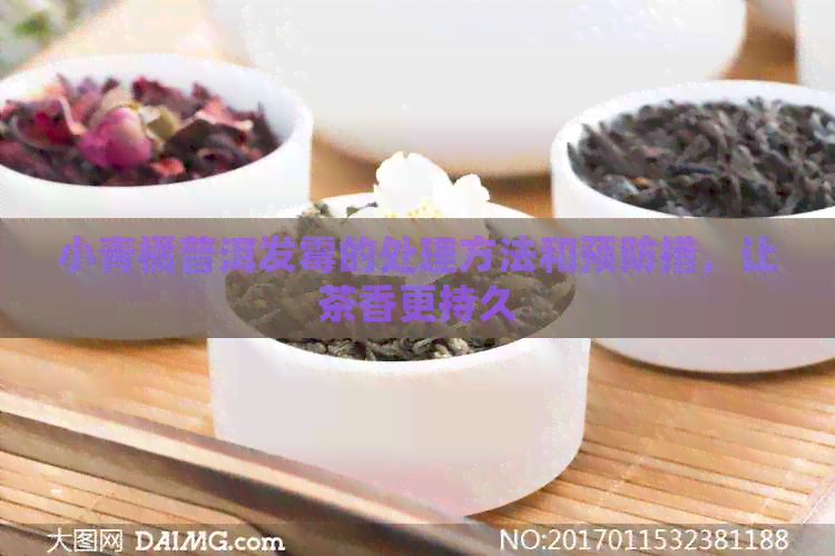 小青橘普洱发霉的处理方法和预防措，让茶香更持久