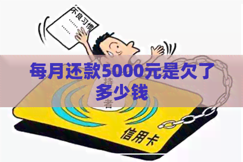 每月还款5000元是欠了多少钱