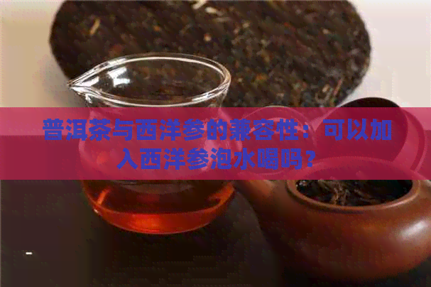 普洱茶与西洋参的兼容性：可以加入西洋参泡水喝吗？