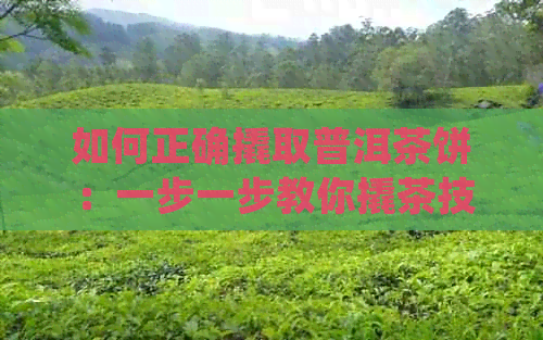 如何正确撬取普洱茶饼：一步一步教你撬茶技巧，让你轻松品尝普洱茶的美味