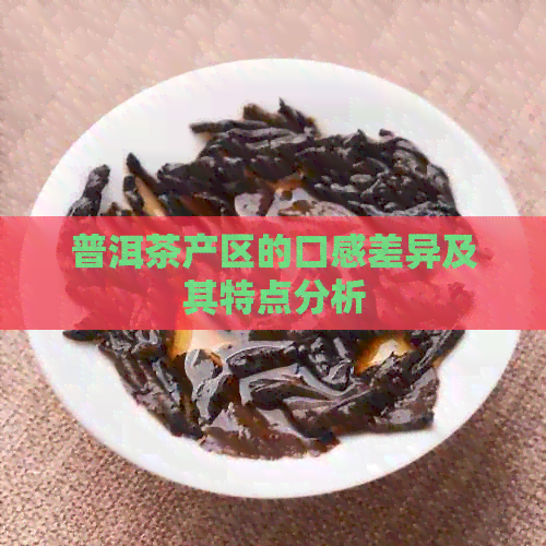 普洱茶产区的口感差异及其特点分析