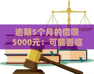 逾期5个月的借呗5000元：可能面临起诉的风险及应对措全面解析