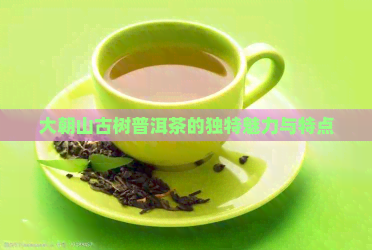 大朝山古树普洱茶的独特魅力与特点