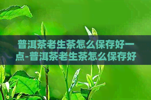 普洱茶老生茶怎么保存好一点-普洱茶老生茶怎么保存好一点呢