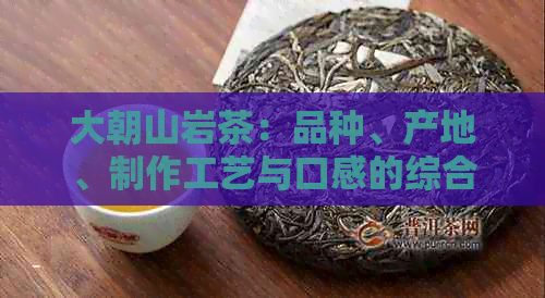 大朝山岩茶：品种、产地、制作工艺与口感的综合指南