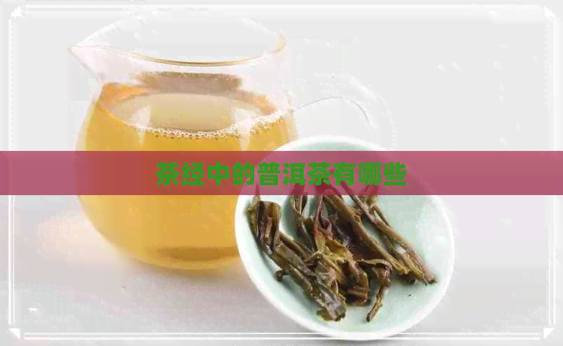 茶经中的普洱茶有哪些