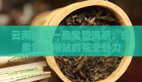 云南纯正一品堂普洱茶：探索官方网站的茶业魅力