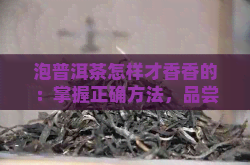 泡普洱茶怎样才香香的：掌握正确方法，品尝美好滋味