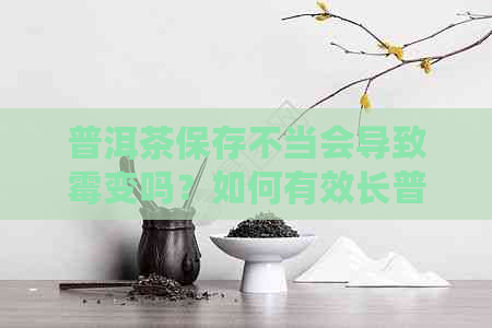 普洱茶保存不当会导致霉变吗？如何有效长普洱茶的保质期？