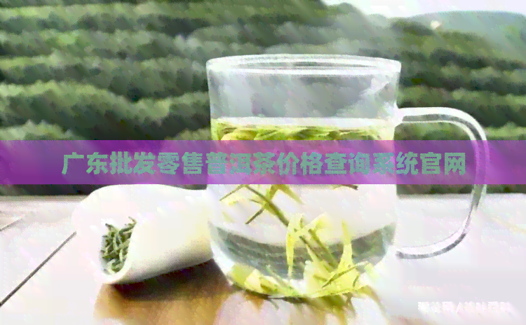 广东批发零售普洱茶价格查询系统官网