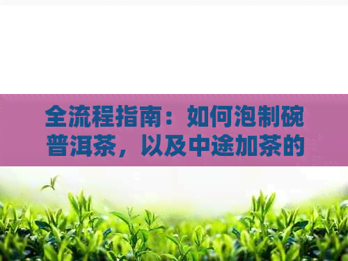 全流程指南：如何泡制碗普洱茶，以及中途加茶的正确方法