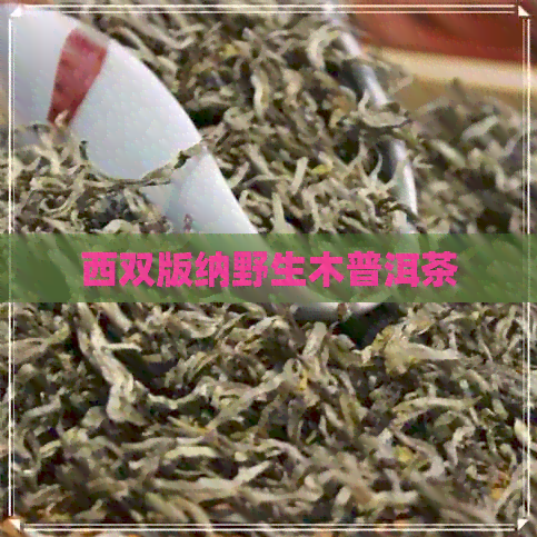 西双版纳野生木普洱茶