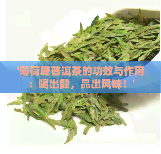 '薄荷塘普洱茶的功效与作用：喝出健，品出风味！'