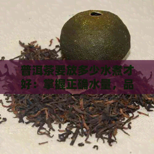 普洱茶要放多少水煮才好：掌握正确水量，品享醇厚口感