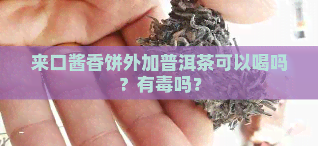 来口酱香饼外加普洱茶可以喝吗？有吗？