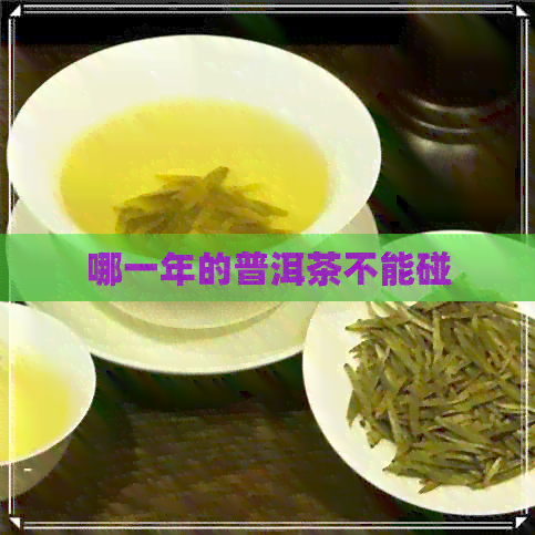 哪一年的普洱茶不能碰