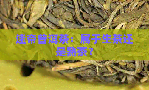 迷帝普洱茶：属于生茶还是熟茶？