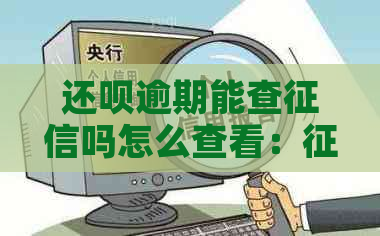 还呗逾期能查吗怎么查看：记录与逾期还款影响