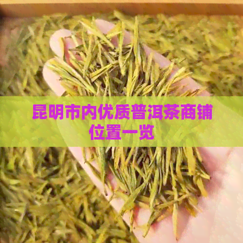 昆明市内优质普洱茶商铺位置一览