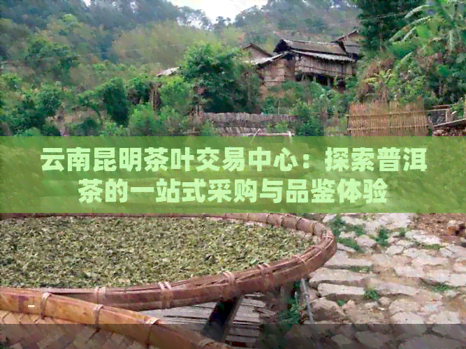 云南昆明茶叶交易中心：探索普洱茶的一站式采购与品鉴体验