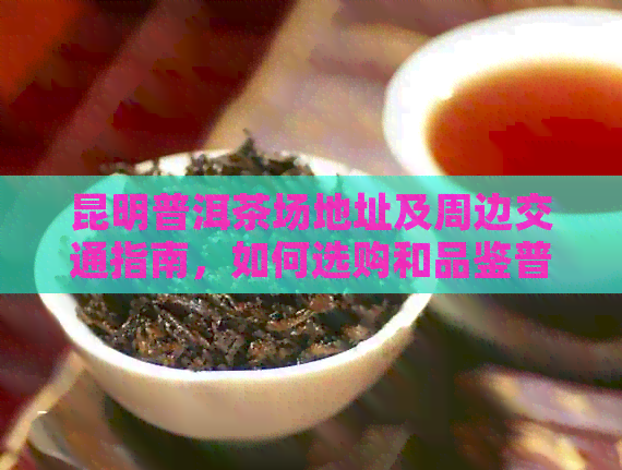 昆明普洱茶场地址及周边交通指南，如何选购和品鉴普洱茶？