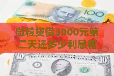 微粒贷借3000元第二天还多少利息和本金： 微粒贷款3000元第二天的费用详解