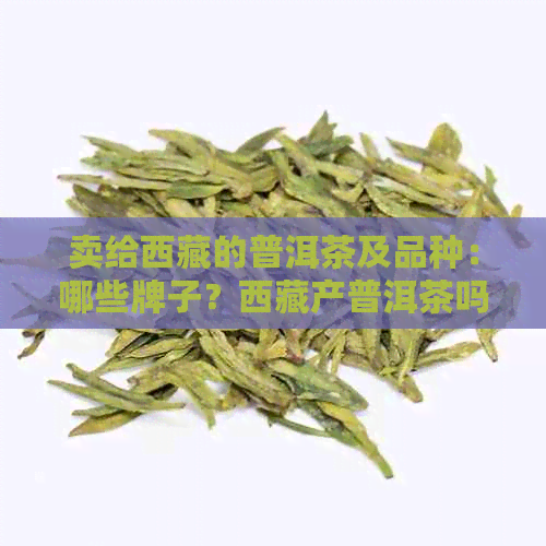 卖给     的普洱茶及品种：哪些牌子？     产普洱茶吗？