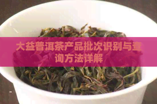 大益普洱茶产品批次识别与查询方法详解