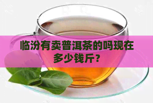 临汾有卖普洱茶的吗现在多少钱斤？