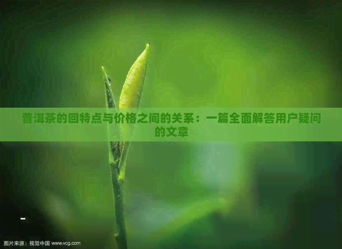 普洱茶的回特点与价格之间的关系：一篇全面解答用户疑问的文章