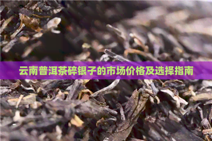 云南普洱茶碎银子的市场价格及选择指南