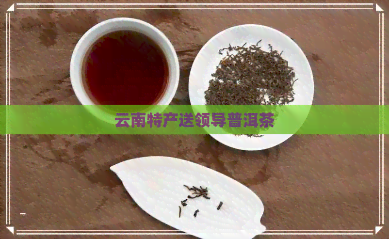 云南特产送领导普洱茶