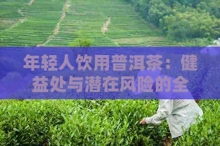 年轻人饮用普洱茶：健益处与潜在风险的全面解析